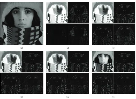 Figure 2: (a) Original “Trui” image, top-left: approximation subband, magnitude of top-right: horizontal subband, bottom-left: vertical(LIP model case), (c)subband, bottom-right: diagonal subband magnitude of horizontal subband using the SWT and PLIP model operators with (b) γ = 256 γ = 300, (d) γ = 500, (e) γ = 700, and (f) standard mathematical operators.