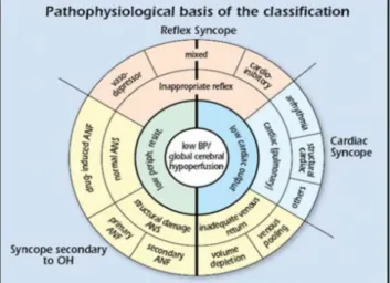 Figure 1. The pathophysiological basis of syncope classification  (after Moya et al.[5])