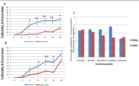 Figure 3 Functional confirmation of the role of CYP6M7 in pyrethroid resistance. A) Transgenic expression of CYP6M7 in Drosophila