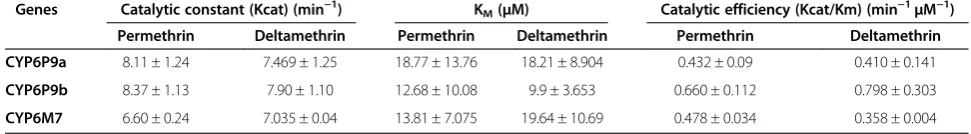 Table 2 Kinetic parameters for permethrin and deltamethrin metabolism by CYP6M7, CYP6P9a and CYP6P9b