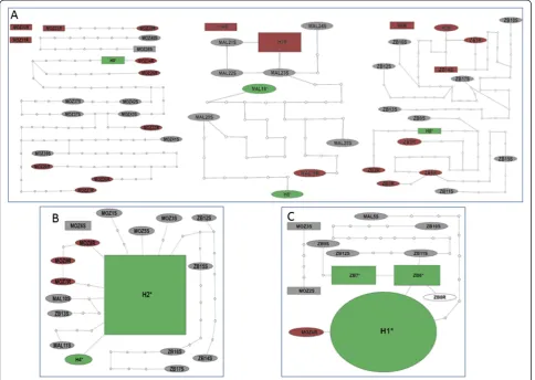 Figure 5 Comparative analysis of haplotype diversity.predominant haplotype associated with resistance (directional selection)