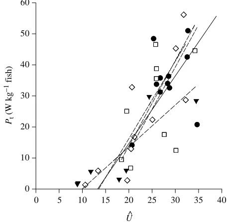 Fig. 10. Reduced major axis analysis showed that there was asigniﬁcant positive regression between the total power requirementthe regression for the pooled data (Pt and the length-speciﬁc velocity of the wave of curvature along thebody Uˆ for each Serranus