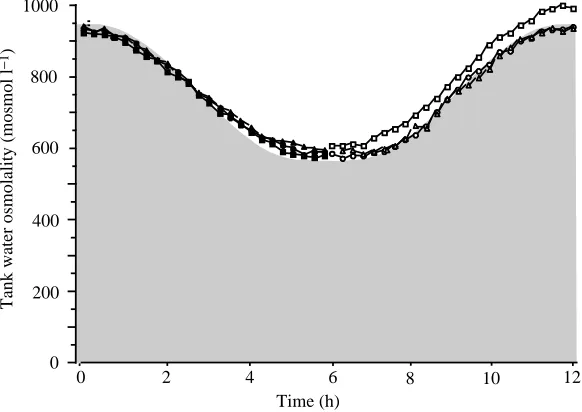 Fig. 1. Proﬁle of sinusoidal salinity change in the water inthe mussel holding tank during three periods of salinity550mosmolldecrease and three separate periods of salinity increase
