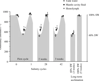 Fig. 3. Cell water space in isolated gills frommussels acclimated for various times to eitherNacclimation to 100 % seawater (SW), where The shaded area shows the salinity proﬁle of theconstant or cycling salinity