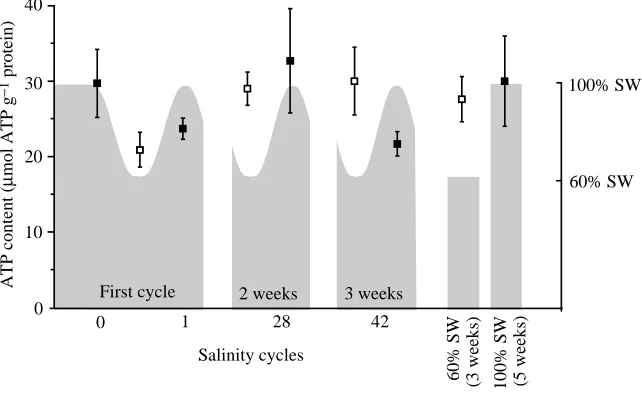 Fig. 4. Rate of O2conditions, except for long-term acclimation to100% seawater (SW), where  consumption in isolated gillsfrom mussels acclimated for various times toeither constant or cycling salinity