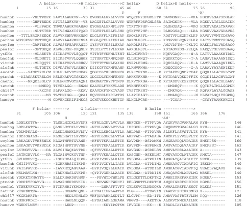 Fig. 1. Aligned amino acid sequences of selected hemoglobins from mammals, invertebrates, plants, protists and bacteria