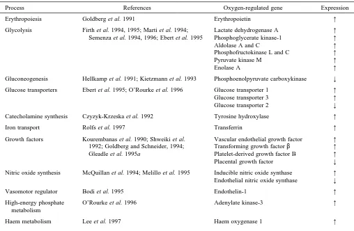 Table 1. Some processes involved in oxygen-regulated gene expression