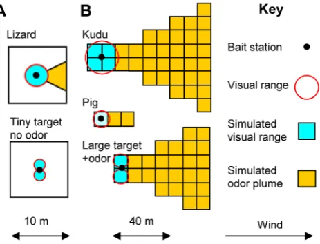 Table 1. Estimates of the range at which tsetse perceive hosts of various mass, using visual and olfactory cues.