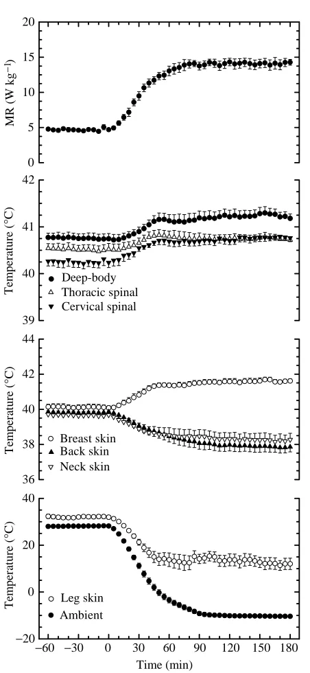 Fig. 1. Metabolic rate (MR) and various body temperatures measuredin pigeons during the transition from thermoneutral to cold ambientNtemperatures