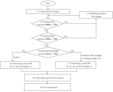 Figure 1: Flowchart of the proposed method.