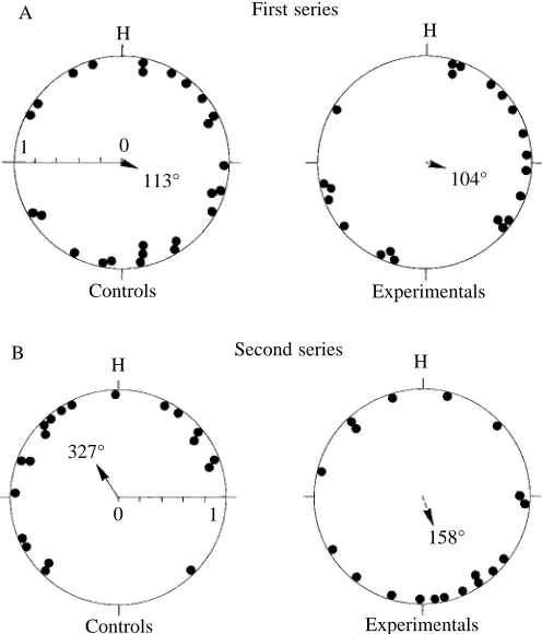 Fig. 1. Initial orientation diagrams for pooled results with home setto 360°. Data from birds released for the second time are notrepresented in the diagrams or included in the statistics