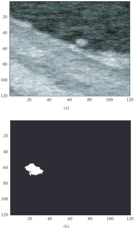 Figure 1: (a) First frame of the cluttered target sequence, PTCR =10.6 dB; (b) target template and position in the ﬁrst frame shown asa binary image.