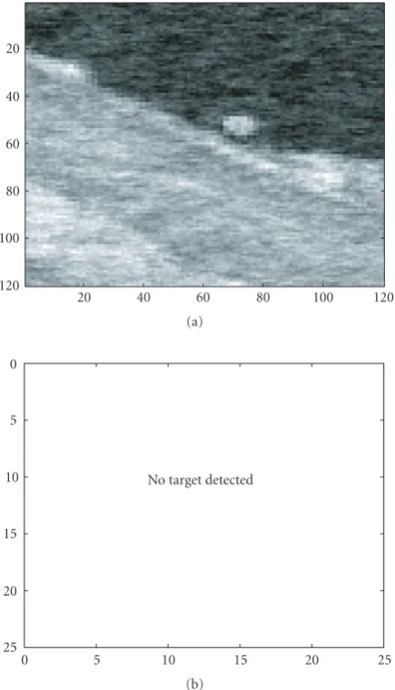 Figure 4: (a) Thirty-sixth frame of the cluttered target sequencewith no target present; (b) detection result indicating absence oftarget.