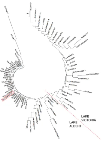 Figure 5. Neighbour joining tree based on the net mean genetic distances between individual infrapopulations sampled atbaseline and in follow-up surveys.and those from Lake Victoria