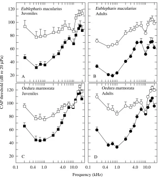 Fig. 9. Compound action potential (CAP)thresholds obtained with the middle-ear systemintact (tympanic membrane stimulation, TM,ﬁlled symbols) and after exclusion of the middle-ear conductive apparatus (oval windowstimulation, OW, open symbols) in adults (B