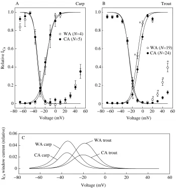 Table 2. Steady-state activation and inactivation parameters of L-type Ca2+ current in ventricular myocytes of rainbow troutand crucian carp heart