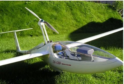 Figure 1.1: DG – 600 scale glider (Source: Let Model Company) 