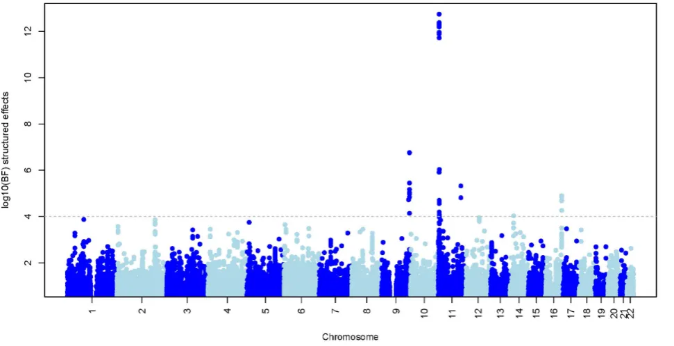 Figure 5. Evidence for association at approximately 1.3M autosomal SNPs. The plot shows the log10 Bayes factor comparing the structuredeffects model (model 4; see main text) to a model of no association