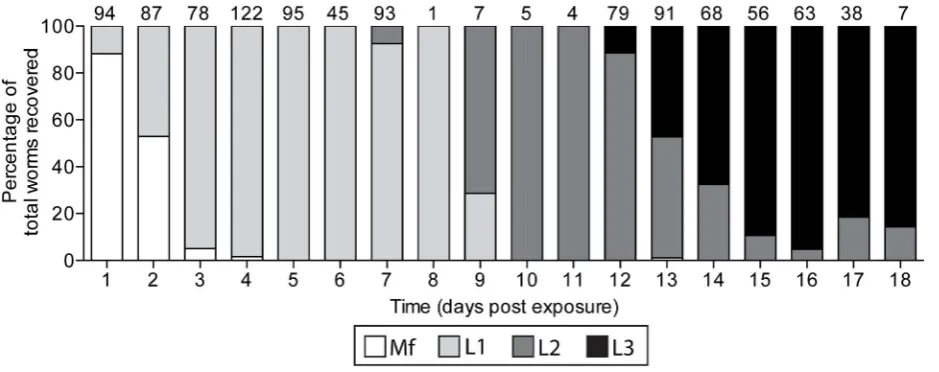 Table 1. Development of Wuchereria bancrofti in colony and wild-caught Anopheles farauti s.s