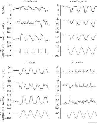 Table 1. Peak-to-peak modulation of kinematic and aerodynamic measurements during vertical oscillation of the visualbackground pattern–– (%)– – 