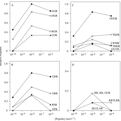 Fig. 1. The relationships between peptide concentrations (mol l−representative of data from the ﬁve different sets of trials