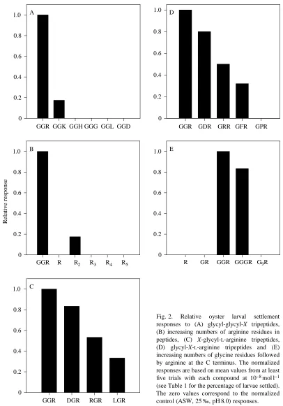 Fig. 2. Relative (D)oyster larval settlementresponses to (A) glycyl-glycyl-X tripeptides,(B) increasing numbers of arginine residues inpeptides, (C) X-glycyl-L-arginine tripeptides,glycyl-X-L-arginine tripeptides and (E)increasing numbers of glycine residu