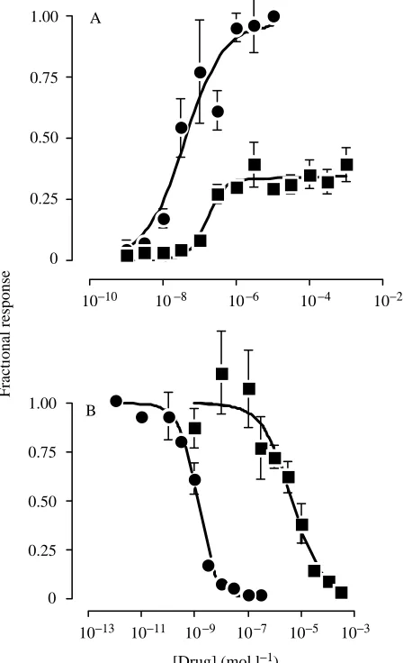 Fig. 2. (A) The increases in cyclic AMP content evoked by 4minincubations in either adrenaline (were normalised to the response evoked by 10agonist used