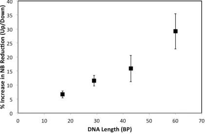 Figure 2.4 Plot of the magnetic field effect observed for DNA with covalently tethered Nile blue at different lengths scanned at 20 V/s in phosphate buffer
