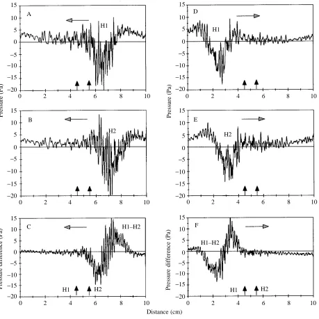Fig. 2. Response waveform to the moving sphere from hydrophones 1 (H1) (A,D) and 2 (H2) (B,E) and the computed pressure difference(H112cms−H2) (C,F) to the moving sphere