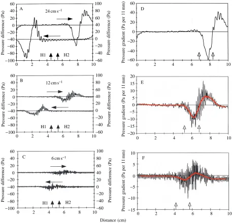 Fig. 4. (A–C) Pressure-difference waveforms produced by opposite directions of motion (see arrows above each waveform) for a source distanceof 6 mm and source velocities of 24 cms−1 (A), 12 cm s−1 (B) and 6 cm s−1 (C)