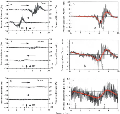 Fig. 5. Pressure-difference waveforms (A–C) corresponding to different source distances (source velocity constant at 12 cms−waveform replotted in each case on an expanded 1) with the uppery-axis (D–F) as in Fig