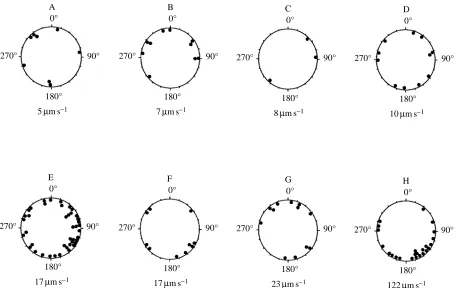 Fig. 5. Mean (±Sas a function of sperm age. Each symbol representsthe mean values (.E.M.) corrected swimming speedN=2–36) for sperm drawn fromone of ﬁve individual adults