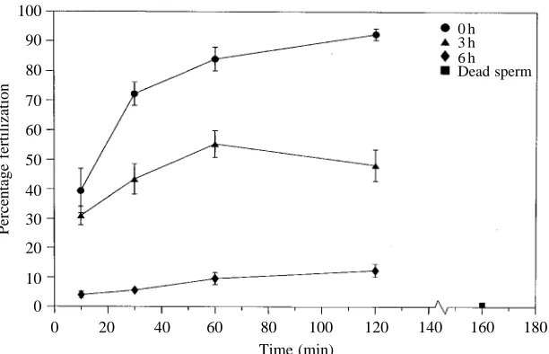 Fig. 6. Percentages of eggs with elevated fertilizationmembranes as a function of contact time
