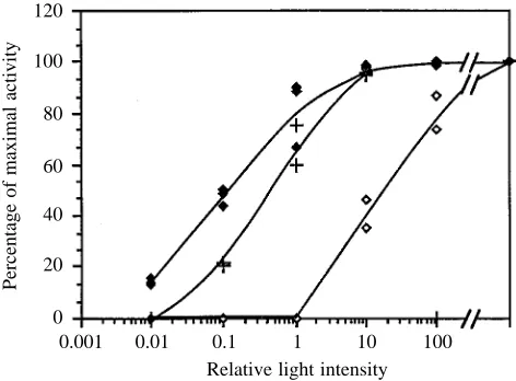 Fig. 2. Phosphodiesterase (PDEase) activity of cholesterol-oxidase-treated plasma membrane