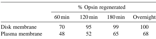 Table 4. Opsin regeneration in rod outer segmentmembranes