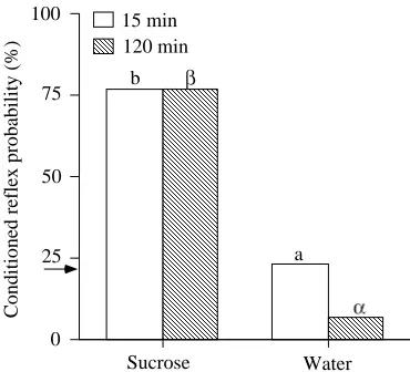 Fig. 6. The effect of sucrose solution or water as the US. Moths wereexposed to a 10-trial learning procedure where the US was eithersucrose solution or water