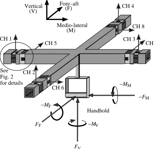 Fig. 2for details