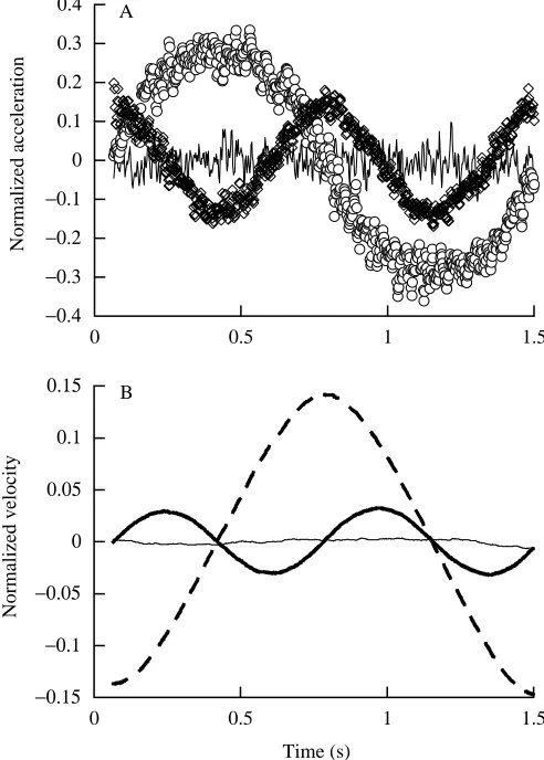 Fig. 5. Mechanical energy (normalized for weight, 61.8N, and l, thedistance of the pendulum’s center of mass from the handhold,0.505 m) of a physical pendulum and a numerical simulation swingingthrough a complete cycle in the fore–aft direction