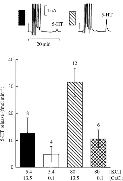 Fig. 8. Release of 5-HT induced by incubation of the eyestalk in salinesolutions containing a high Keyestalk was measured