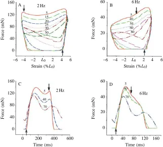 Fig. 3. Change in power output of mouse soleus musclewith cumulative work performed. Values are means(N=4)