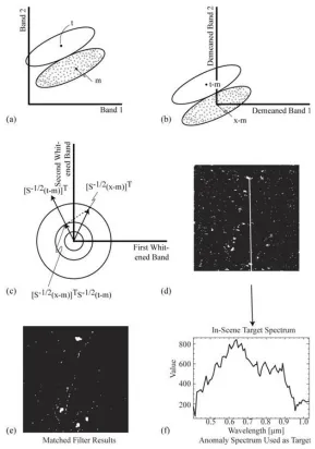 Figure 2.  Pictorial description of the Spectral Matched Filter.   process in equation 3