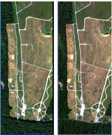 Figure 15.  Hydice images close ups with targets used.  Left = Image with targets, Right = Image without targets 