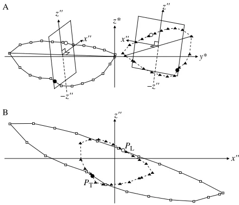 Fig. 1. The Symmetry method. (A) Determination of the plane ofsymmetry of the wing motion