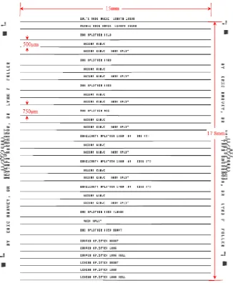 Fig. 4.1: Mask layout of die [1] 