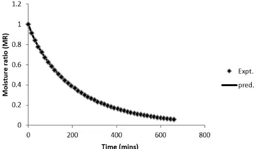 Fig. 6: Fitted line plot using page model for experimental data at 40°c drying temperature and 5.0 mm slice thickness, where Expt