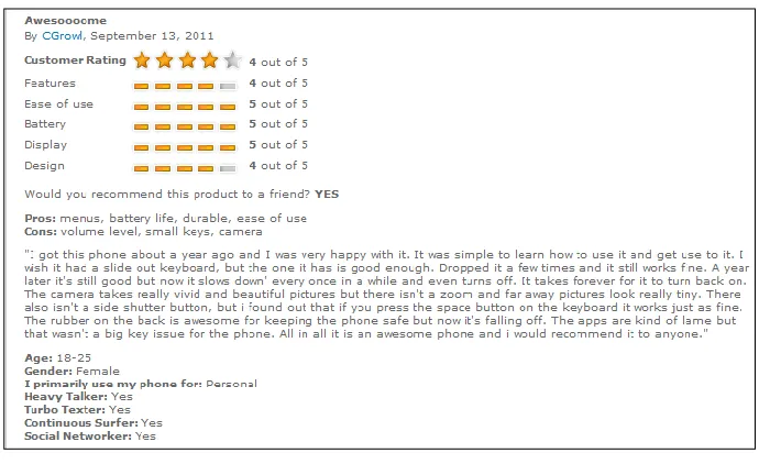 Figure 2-2: Example of a Customer Review Used in the Study 