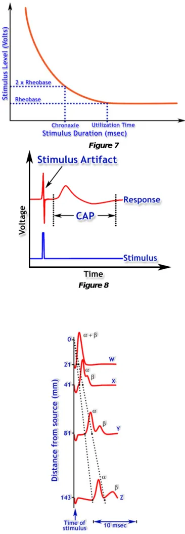 Figure 7 Biopac Student Lab PRO will record both the 