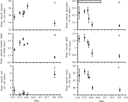 Fig. 3. Normalized sonic muscle contractile cylinder cross-sectionalarea (cCSA) and total cross-sectional area (tCSA) plotted at differentNdates