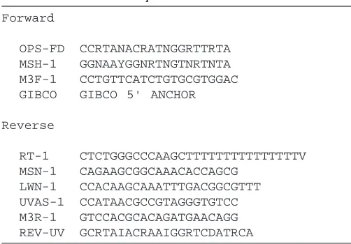 Table 1. Forward and reverse primers used for isolatingopsin cDNAs