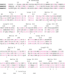 Table 1) designed to an amino acid sequence,(E\D)QAKKMN, that is conserved in arthropod opsins in theloop between transmembrane helices V and VI (Hariyama etal